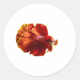 Adesivo Peixe-Lutador-Siamês Vermelho Majestoso Meia-Lua S