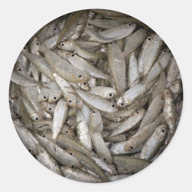 Adesivo Peixe num Balde (Frente)