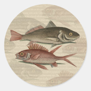 Adesivo Peixe Perca Vermelha Arte de Pescador
