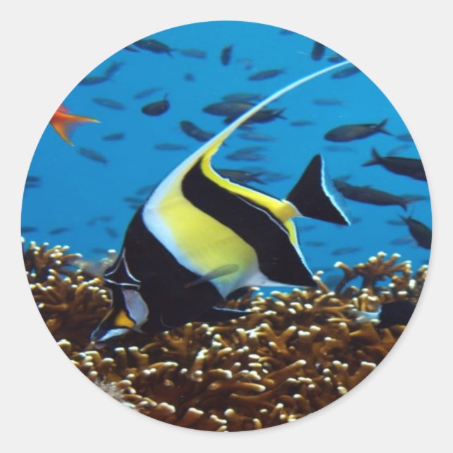 Adesivo Peixe tropical (Frente)