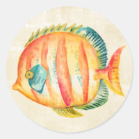 Peixes de Aquário Coloridos