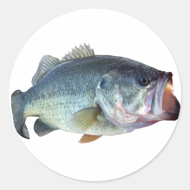 Adesivo Peixes de Bass (Frente)