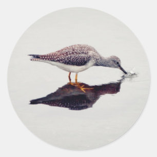 Adesivo Peixes de travamento do maior Yellowlegs