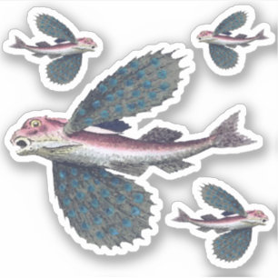 Adesivo peixes de vôo