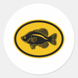 Adesivo Peixes do tipo de peixe