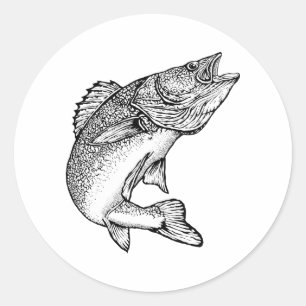 Adesivo Peixes dos Walleye