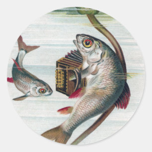 Adesivo Peixes Jogando Acordeão e Água Lily