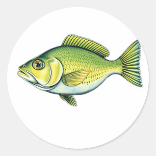 Adesivo Peixes Verdes Vivos com Padrões de Ondas