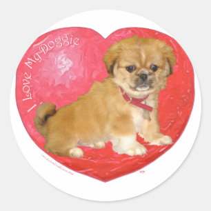Adesivo Pekingese / Shih Tzu Mistura Dia dos Namorados