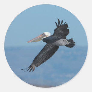 Adesivo Pelican-9 Sticker