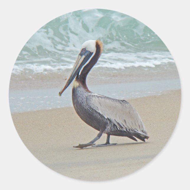 Adesivo Pelican on Outer Banks (Frente)