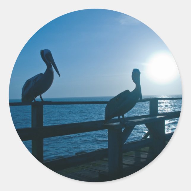 Adesivo Pelicano azul/adesivo (Frente)