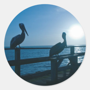 Adesivo Pelicano/etiqueta azuis