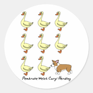Adesivo Pembroke Welsh Corgi Herding Ducks