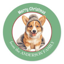 Pembroke Welsh Corgi no Natal