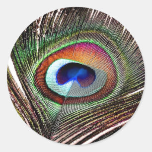 Adesivo Pena Colorida de Pavão de Cobre