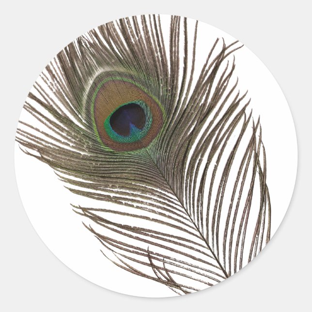 Adesivo Pena de Peacock (Frente)