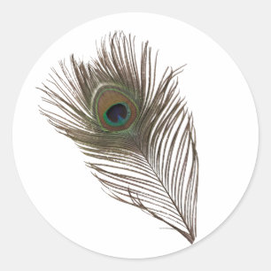 Adesivo Pena de Peacock
