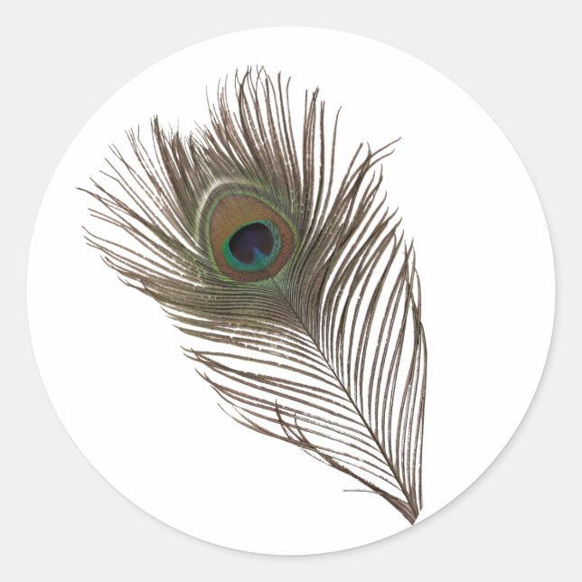 Adesivo Pena de Peacock (Frente)