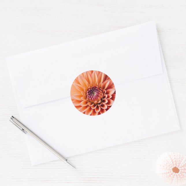 Adesivo Penas de cor Peach Fuzz, (Envelope)