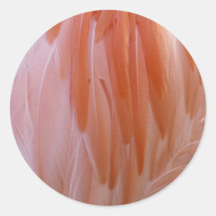Adesivo Penas de Flamingo em Tons de Rosa