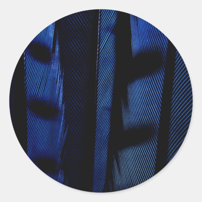 Adesivo Penas de jato azul (Frente)