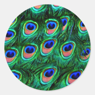 Adesivo Penas de peacock_