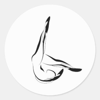 Adesivo Penas de pilates