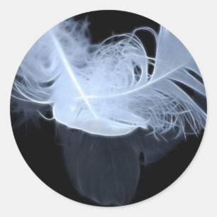 Adesivo Penas gêmeas e reflexão da chama