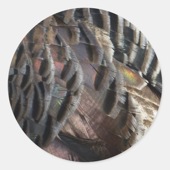 Adesivo Penas Selvagens Turcas I Abstrato Nature Design (Frente)