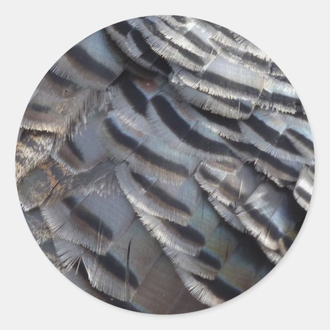 Adesivo Penas Turcas Selvagens II Abstrato Nature Design (Frente)