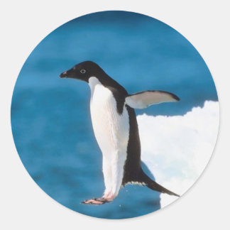 Adesivo Penguin Jumping Sticker
