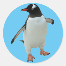 Adesivo Penguin Sticker