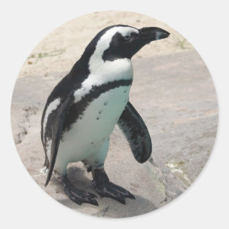 Adesivo Penquin Sticker