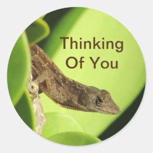 Adesivo Pensando Em Sua Amizade Bela Réptil Gecko
