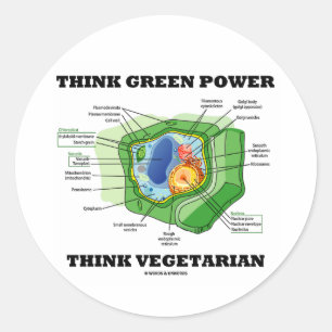 Adesivo Pense verde Power Think Vegetarian (Célula de Pla