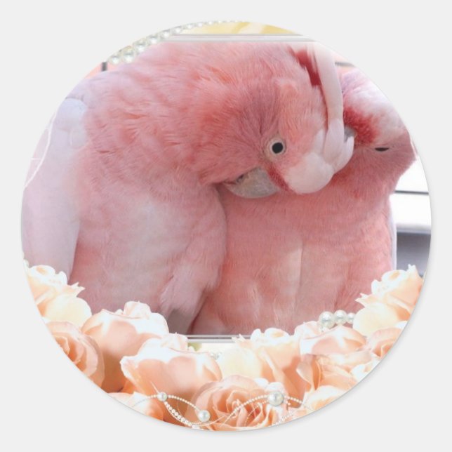Adesivo Pentes de Cockatoas Rosa (Frente)