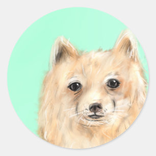 Adesivo Pentes de Paz de Deus