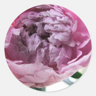 Adesivo Peony