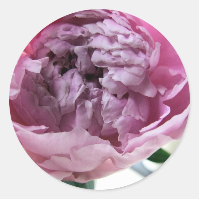 Adesivo Peony (Frente)