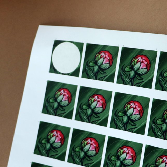 Adesivo Peony Flower Peonies Gardener art Rosa (Criador carregado)