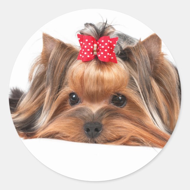 Adesivo Pequena beleza (Frente)