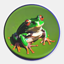 Pequena Rã Verde em um Nenúfar #3