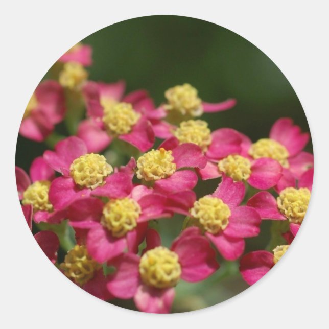 Adesivo Pequenas Flores (Frente)