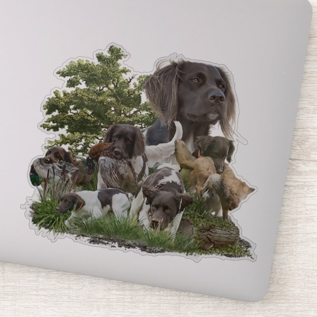 Adesivo Pequeno Munsterlander (Detalhe)