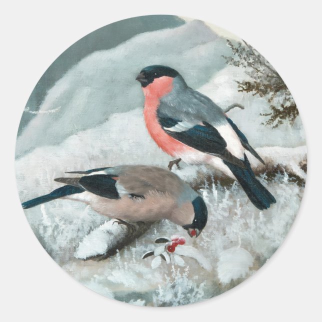 Adesivo Pequeno pássaro bonito - Bullfinch, Arte (Frente)