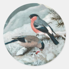 Adesivo Pequeno pássaro bonito - Bullfinch, Arte