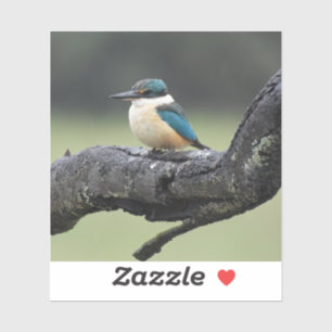 Adesivo Pequeno Pássaro Kookaburra