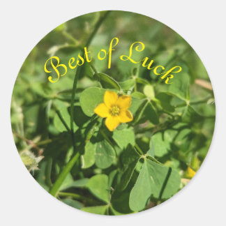 Adesivo Pequeno pedaço de sorte