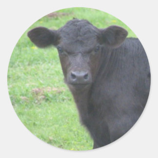 Adesivo Pequeno Touro Preto